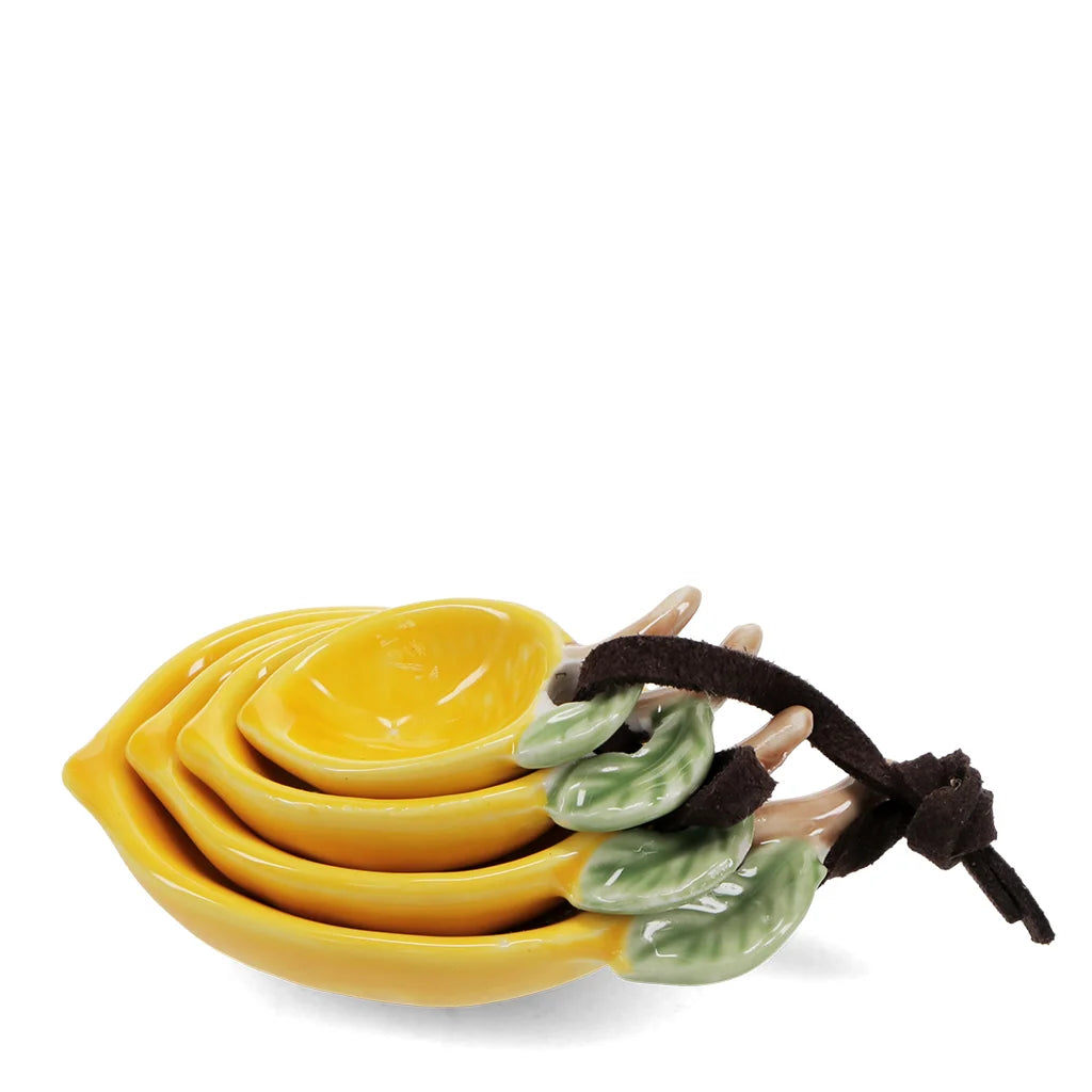 Lemon Ceramic Measuring Spoons - Set of 4