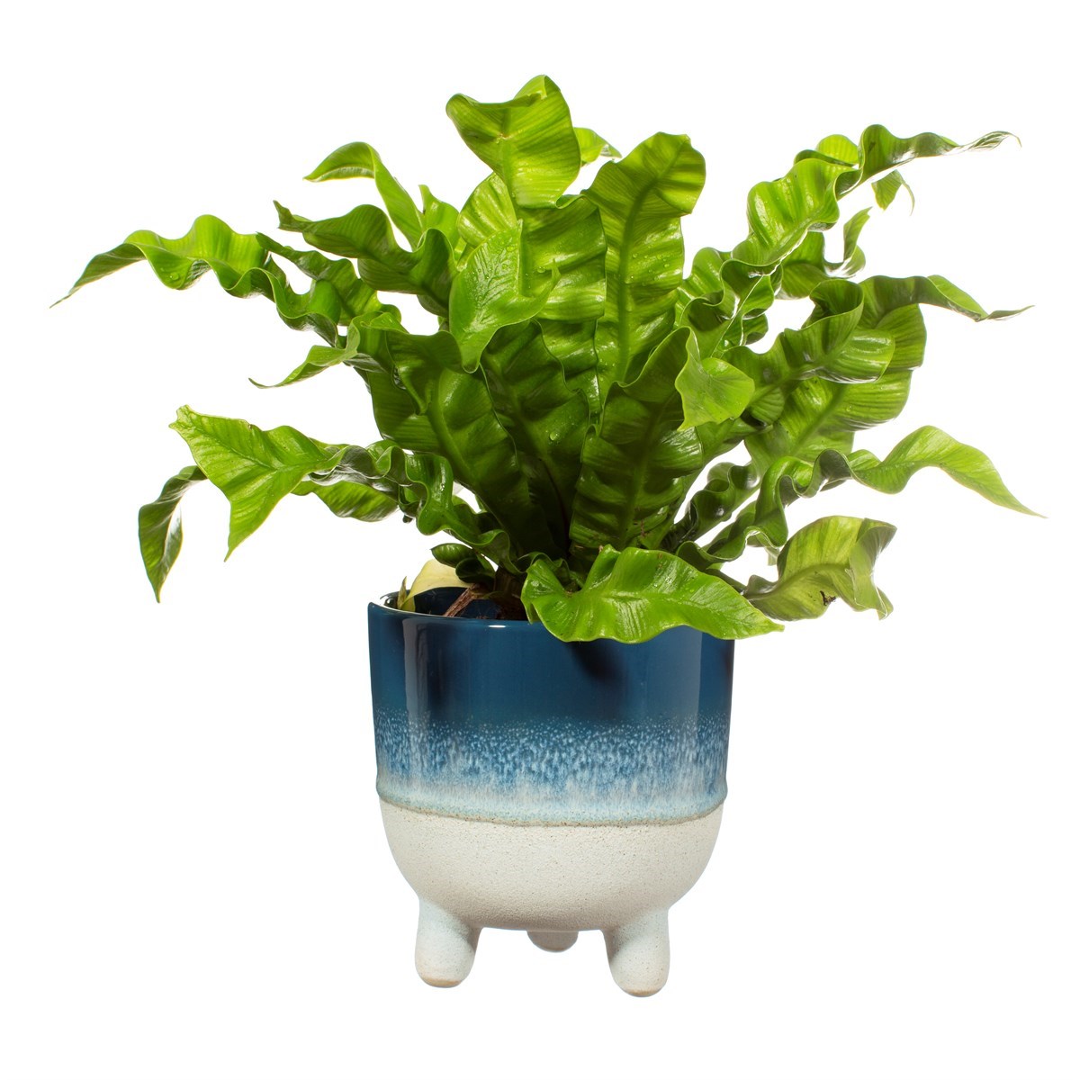Mojave Glaze Blue Planter