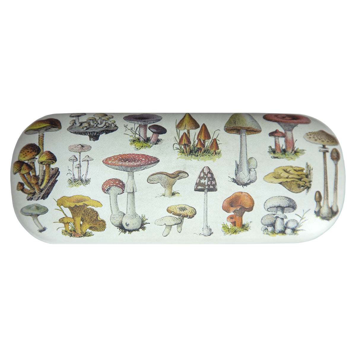 Vintage Mushroom Glasses Case