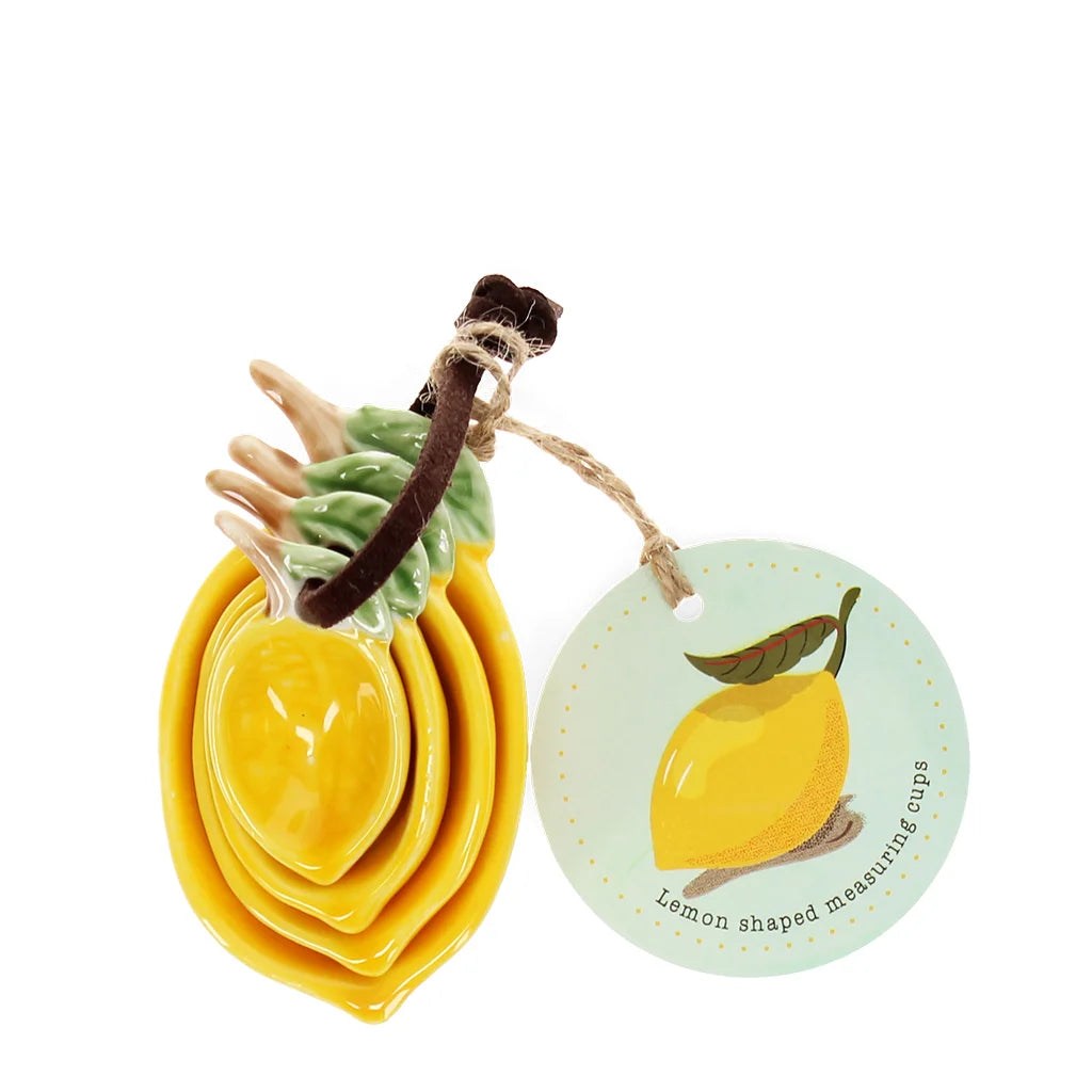 Lemon Ceramic Measuring Spoons - Set of 4